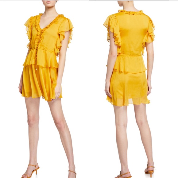 Endless Rose Ruffle Dress